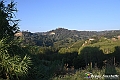 VBS_5590 - C'è un mare di velluto verde! E tu che sognavi di andare lontano... Quanta meraviglia, quì!